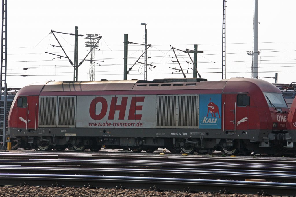 OHE 223 102 steht am 26.4.11 abgestellt im Gbf Alte Sderelb.
