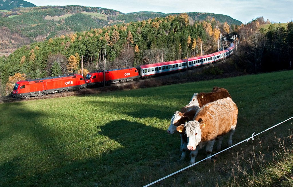 OIC 652 ist Richtung Wien Meidling unterwegs. Die Schatten werden an diesem Novembernachmittag schon bald ziemlich lange, den Klbern auf der Steinbauer Wiese ist das so ziemlich egal. Die Aufnahme entstand am 05.11.2010.