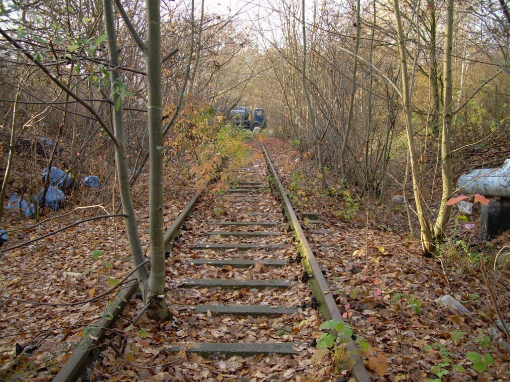 Okt. 2007 Berlin-Buch. Ehem. Anschluss zum Heizkraftwerk, Blickrichtung West. Karower Ch. im Hintergrund