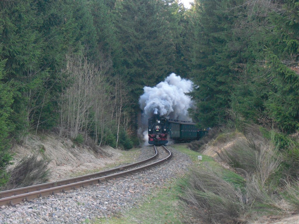 Osterdampf in Schnheide, am 04.04.10. Heute mit 99 516 und 99 582, hier au dem Weg von Sttzengrn nach Neuheide.