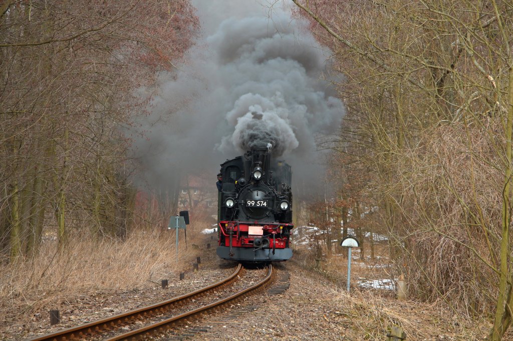 Osterfahrten 2013: 99 574 ist hier am 01.04.13 kurz vor Thalheim unterwegs. Ebenfalls mit DBG 12204.