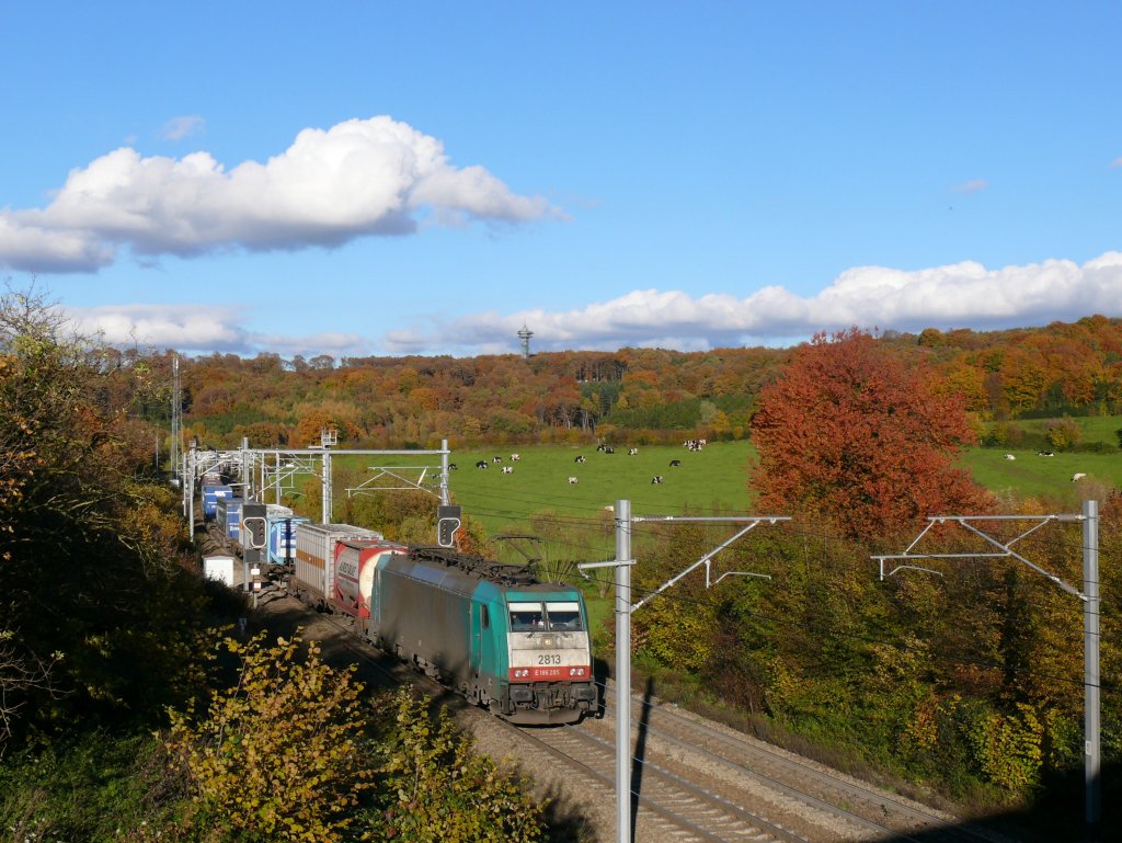 Panoramablick von der Brcke bei Nouvelaer auf das Dreilndereck B/D/NL mit seinem Aussichtsturm. Cobra-Lok 2813 (186 205) rollt gemchlich in Richtung Montzen. Aufgenommen am 31/10/2010. 