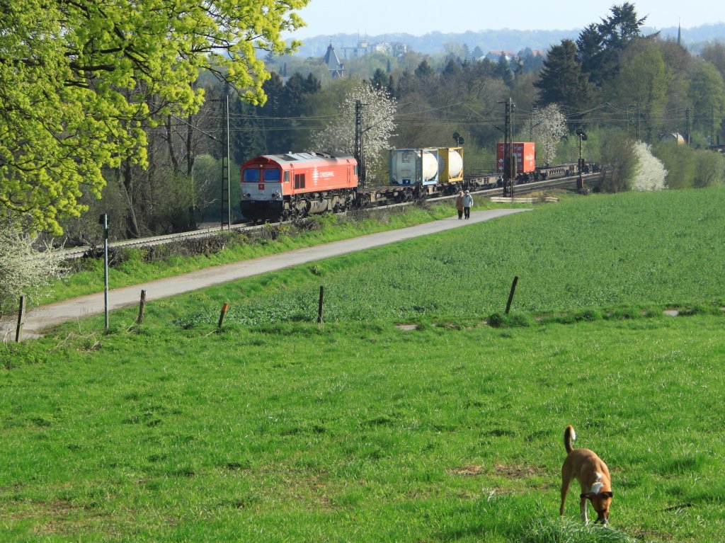PB13 von Crossrail zieht am 07.04.2011 einen nur teilweise beladenen Containerzug die Rampe am Gemmenicher Weg von Aachen West nach Belgien hoch. Meinen Hund Jannis interessiert der Zug weniger, er hat einen Stock gefunden mit dem er spielt.