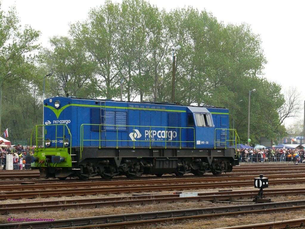 PKP SM31-130
Diese schwere Ranmgierlok hilft beim Rangieren und wird spter auch beim Defekt der 01 509 im Zugdienst aushelfen.
05/2010 Wolsztyn/Wollstein