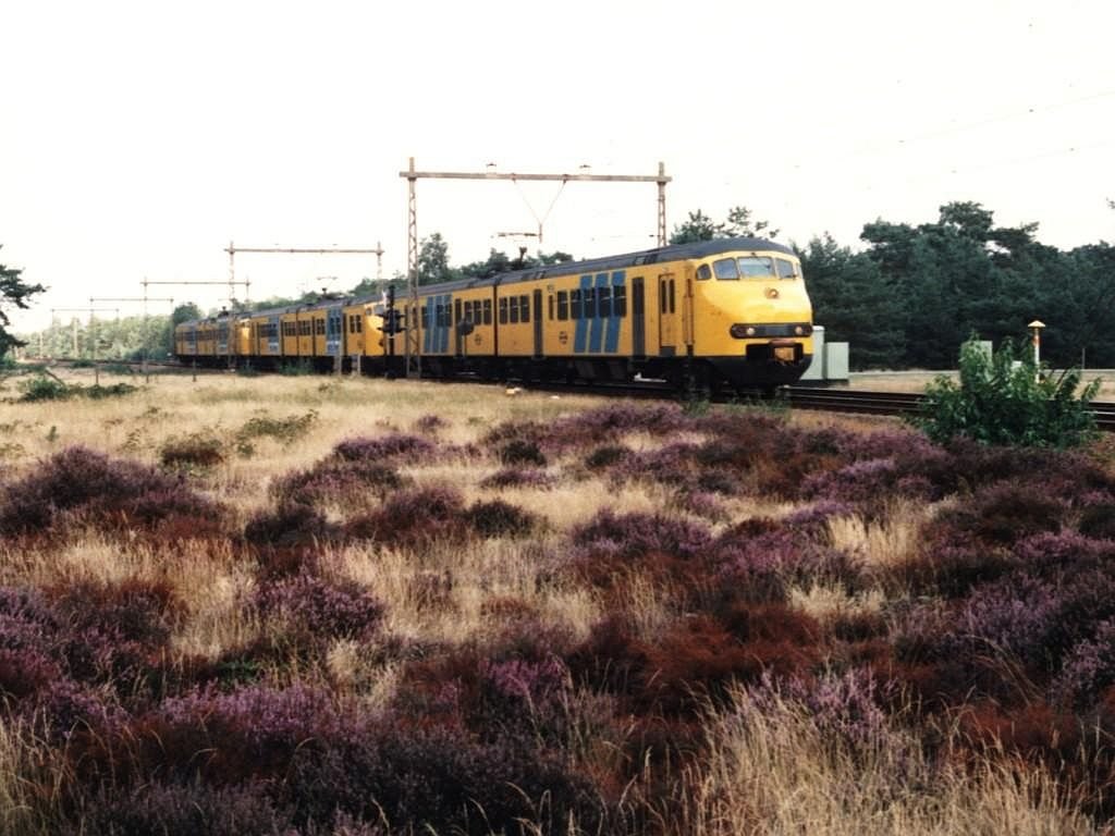 Plan V 850, 820 und 456 mit Regionalzug 5656 Zwolle-Utrecht bei Nunspeet am 28-2-1995. Bild und scan: Date Jan de Vries.