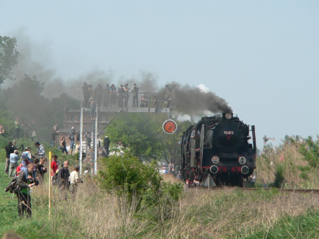 Pm 36-2 und andere fahren an den zahlreich erschienenen Eisenbahnfans vorbei. Wolsztyn, 30.4.2011