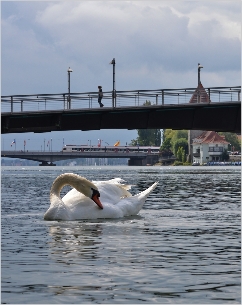 Pose im Spotlight.

Nach dem zweiten Angriff auf meine Fototasche gab es zum Ausgleich noch eine Pose vor dem Seehas. Konstanz, im Juni 2013.