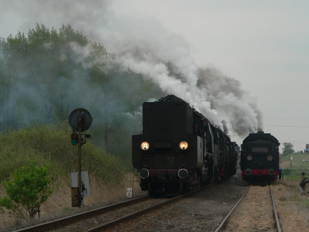 Pt47-65 und Tr5-65 auf der Dampflokparade in Wolsztyn. Gleich fahren die Loks in Kolonnen zurck zum Bahnhof. 1.5.2010