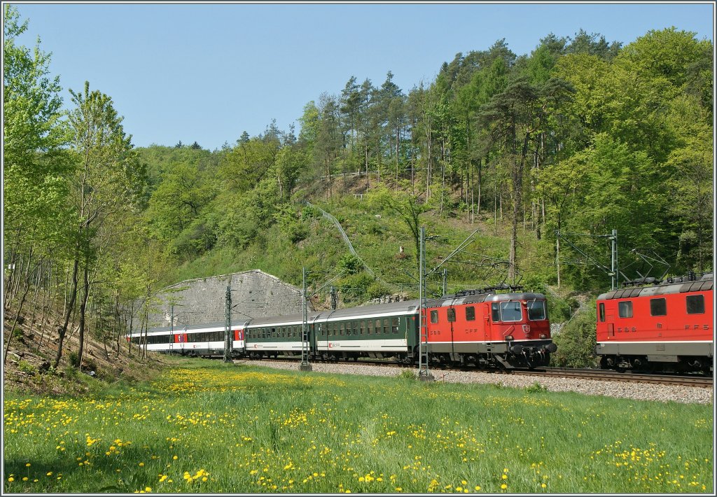Pnktlich zu jeder geraden Stunde begegnen sich bei Thayngen die IR/IC Zrich - Stuttgart. Hier ist die Re 4/4 II 11135 mit ihrem IC 280 Richtung Singen unterwegs und begegnet dem von der Re 4/4 II 11122 gezogenen 183.
Bei Thayngen den 22. April 2011