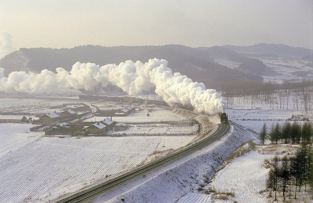 QJ 1981  bei Nancha  30.12.92