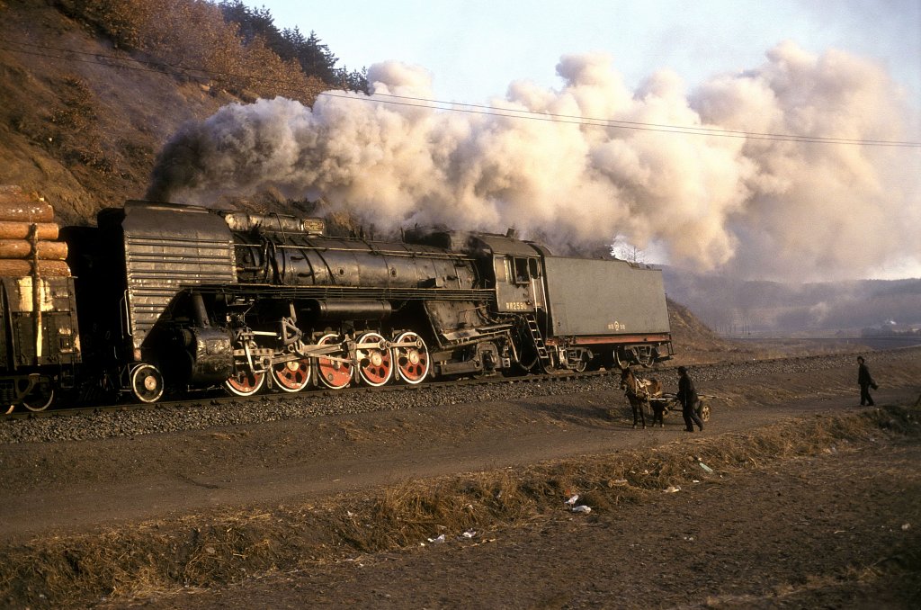 QJ 2590  Schublok  bei Wuyling  14.03.94