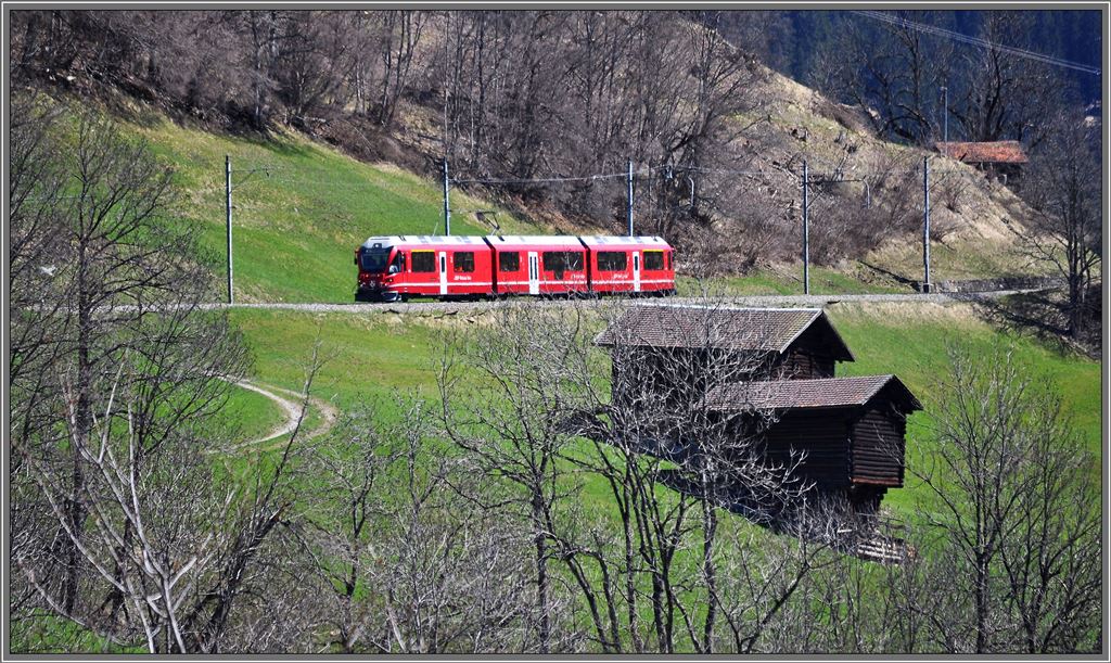 R1440 mit ABe 8/12 3503  Carlo Janka  zwischen Peist und St.Peter-Molinis. (25.04.2013)