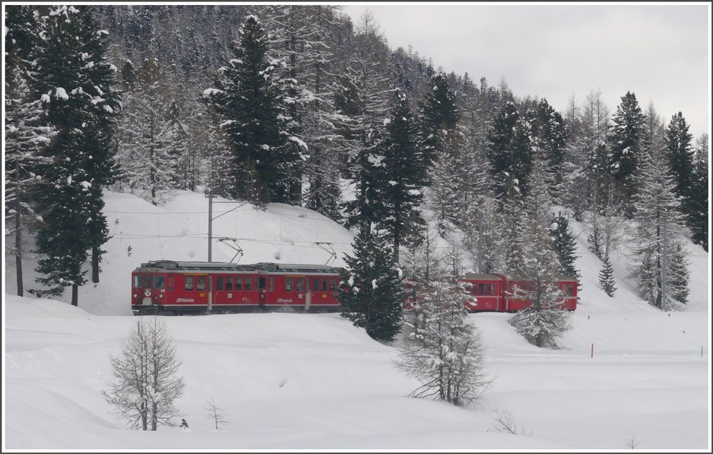 R1633 mit ABe 4/4 II 44 und 49 befindet sich zwischen Surovas und Morteratsch. (12.01.2010)