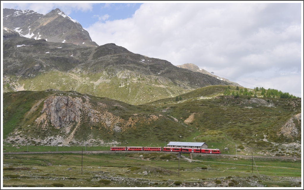 R1640 auf der Alp Bondo. (21.06.2012)