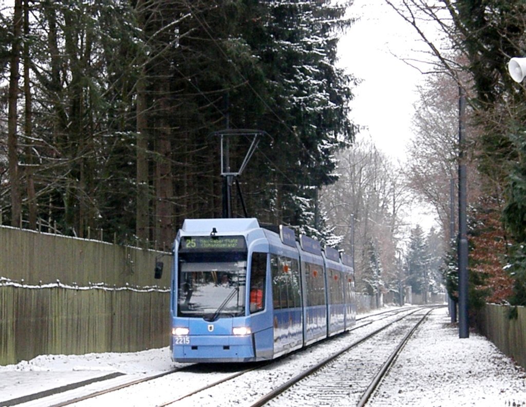 R.3.3. 2215 auf der Linie 25 in Grnwald. 5.1.2010