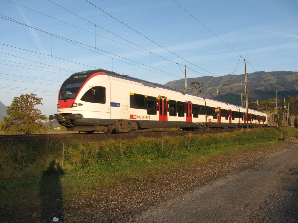 RABe 523 statt GZ bei Schwyz am 27.10.2009. Mein Schatten hab ich absichtlich mitdrauf.