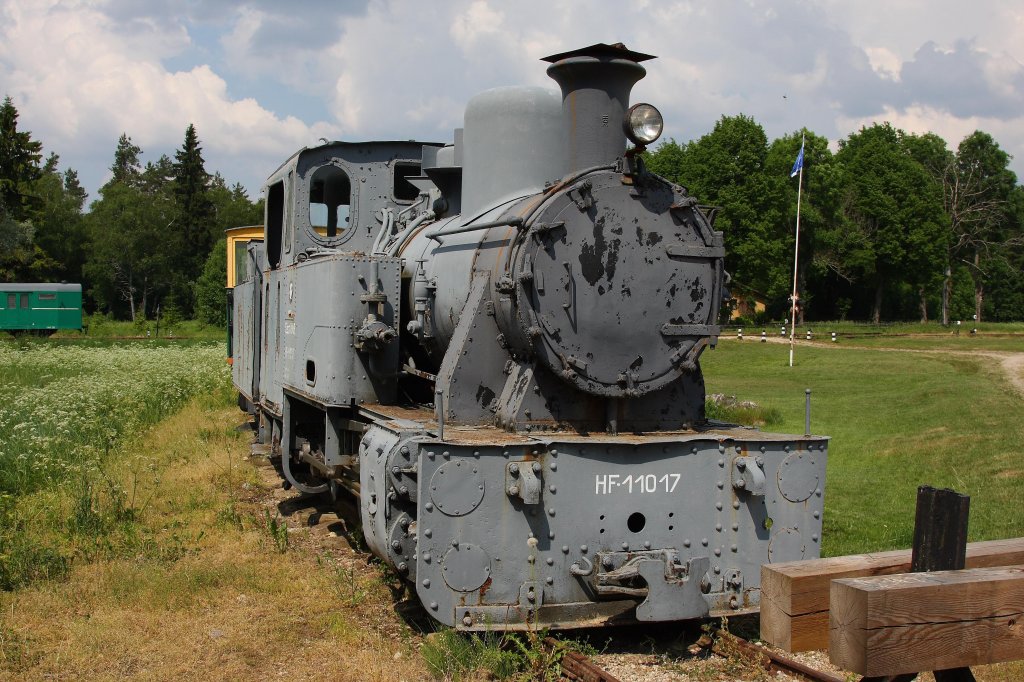 Raudteemuuseum Lavassare / Estland
Diese Dampflok ist zweifelsfrei eine ehemalige Heeresfeldbahn
Lok aus deutscher Produktion, die nach dem Krieg in Estland
verblieben ist. Sie trgt die Nummer HF 110107..
Aufnahme am 11.6.2011