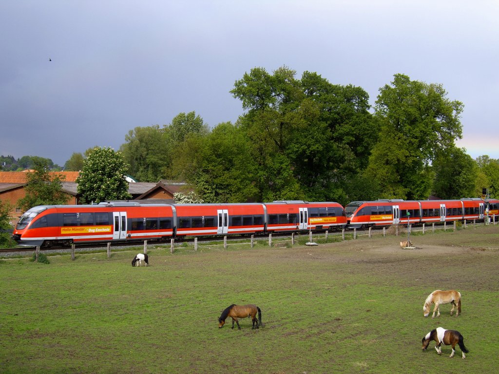 RB29028 auf der Fahrt von Mnster nach Enschede, fhrt bei dunklen Wolken und 2 Regenbgen (oben links ganz leicht und in der mitte rechts) vorbei an einer Pferdekoppel in Ochtrup.
17.05.2010