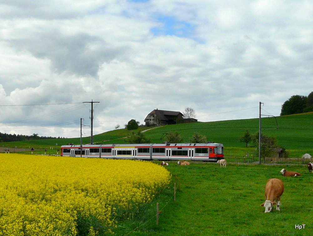 RBS - Triebwagen ABe 4/12  64 unterwegs als Schnellzug bei Lohn-Lterkofen am 07.05.2012