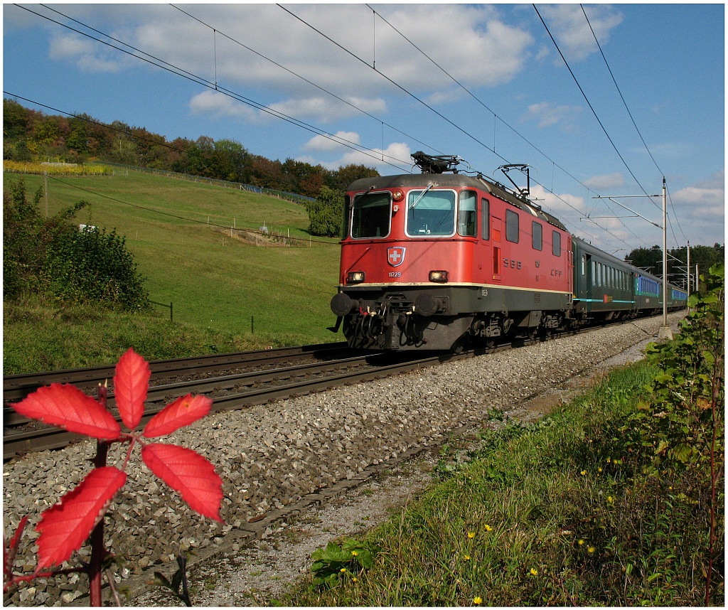 Re 420 vor Schinznach wo es dann via Bzbergtunnel nach Frick-Basel geht.
September 2009
