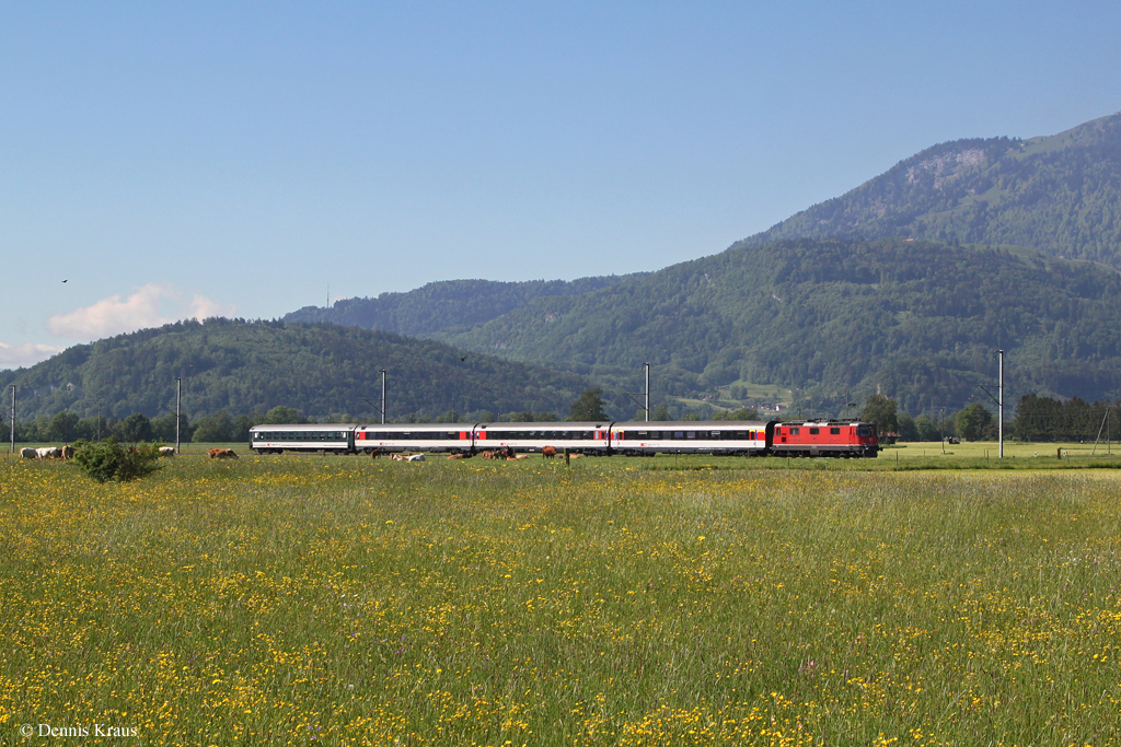 Re 4/4 11153 mit einem Rheintalexpress am 18.05.2013 bei Altsttten.