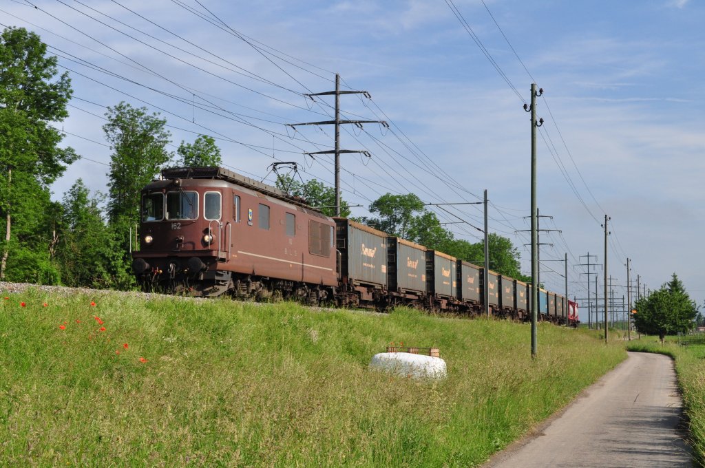 Re 4/4 162 mit GZ bei Kiesen am 09.06.2010