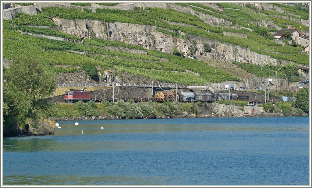 Re 4/4 II mit einem Gterzug bei Rivaz am 7. Juli 2010. 