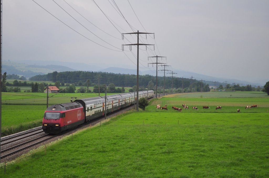 Re 460 014 mit IC 2000 zwischen Rubigen und Gmligen am 15.06.2010