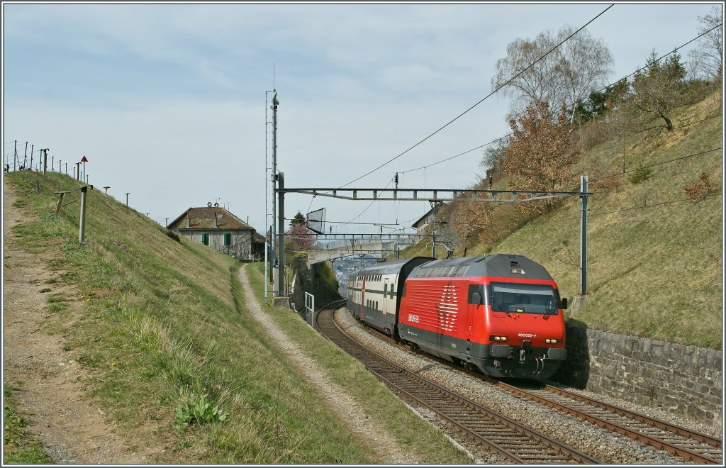 Re 460 022-7 mit dem IC 727 nach St. Gallen zwischen Bossire und Grandvaux am 1. April 2011