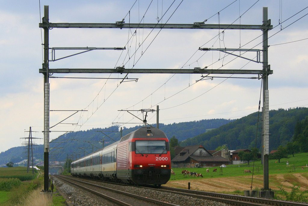 Re 460 091 mit IR2529 (Genve Aroport - Luzern) am 13.8.2010 unterwegs bei St. Erhard-Knutwil. 