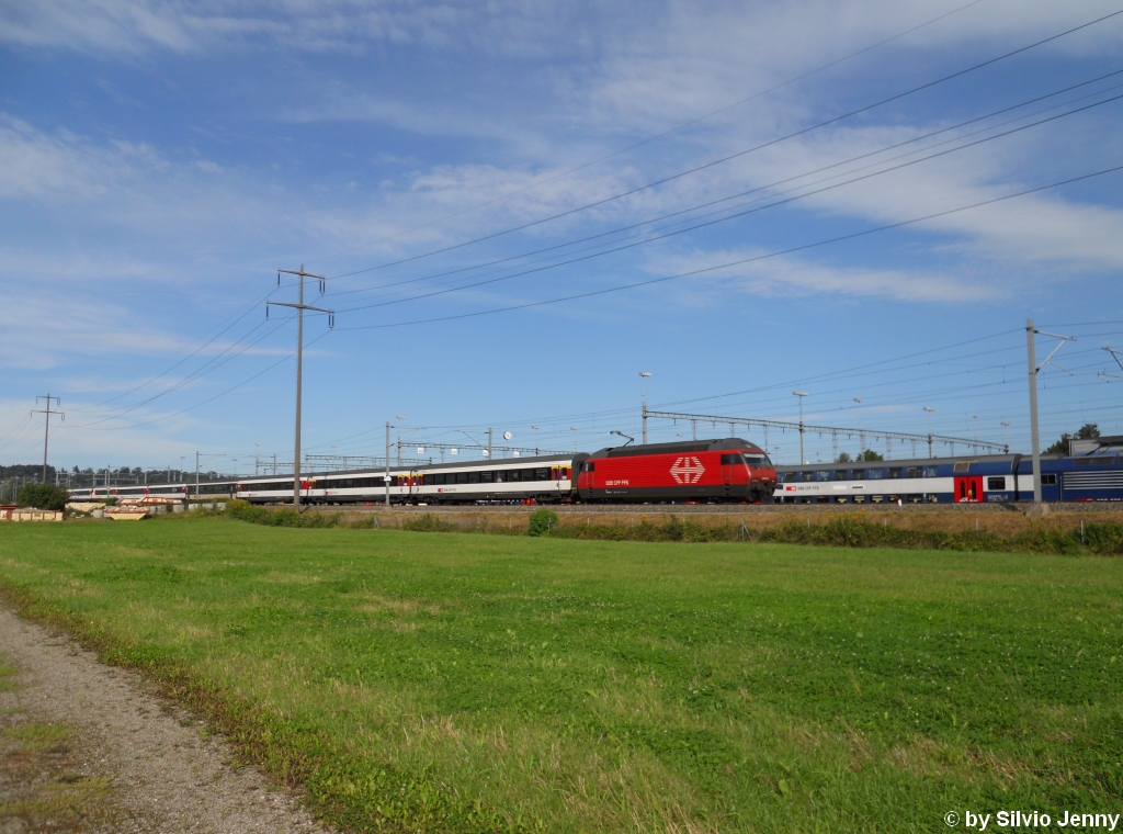 Re 460 109-2 ''Alpstein'' am 22.8.2010 bei der UA Oberwinterthur als IR 9070 nach Biel. Wegen des Eidgenssischen Schwing- und lplerfest war dieser Zug zustzlich mit einem 3-teiligen Modul (nur knapp sichtbar) verstrkt.