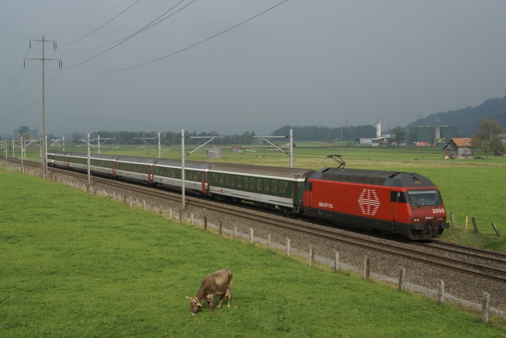 Re 460 116-7 zieht am 13.10.10 den IR 1767 von Reichenburg Richtung Bilten.