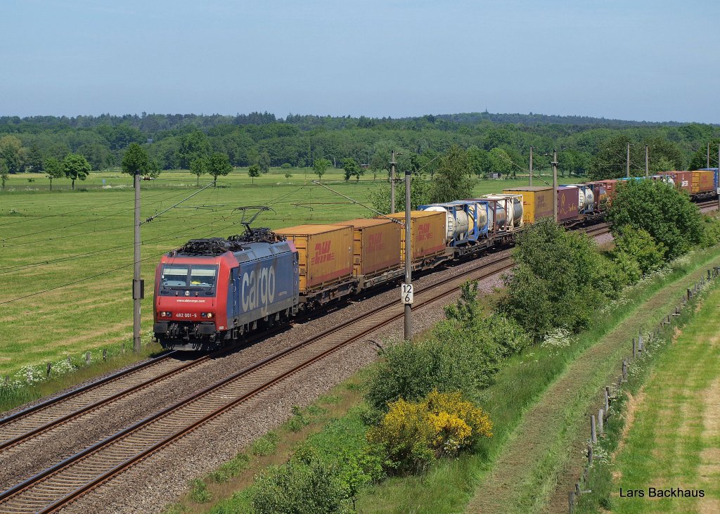 Re 482 001-5 hat am 5.06.10 einen Containerzug am Haken und passiert hier gerade Ramelsloh auf dem Weg Richtung Bremen.