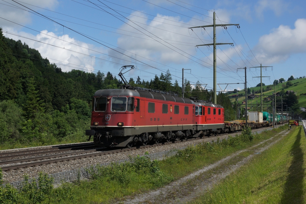 Re 6/6 11681 und Re 4/4 II 11335 ziehen am 30.06.2013 einen Containerzug von Spiez Richtung Frutigen, aufgenommen bei Mlenen.