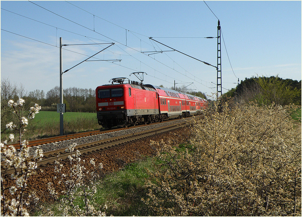 RE Stralsund-Elsterwerda bei Hohenleipisch, 29.04.2012
