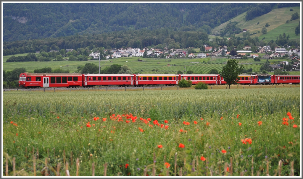 RE1044 aus Davos Platz zwischen Kornfeld und Rebbergen  bei Malans. (07.06.2011)