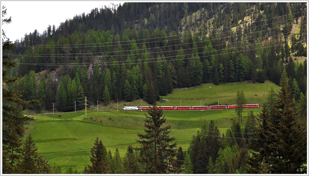 RE1136 mit Ge 4/4 III 650  Seewis  zwischen Muot und Bergn. (12.06.2013)