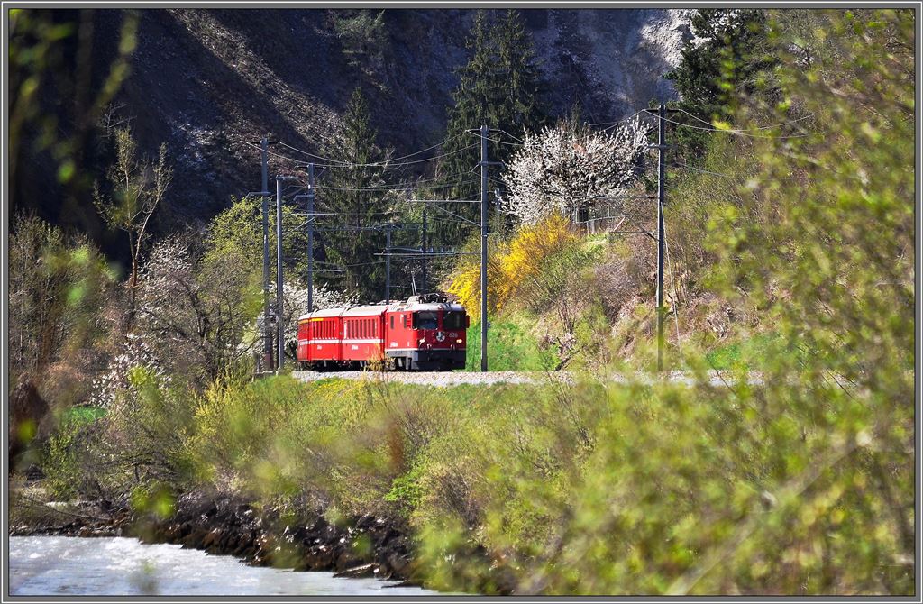 RE1241 mit Ge 4/4 II 626  Malans  in der Rheinschlucht bei Trin. (24.04.2013)