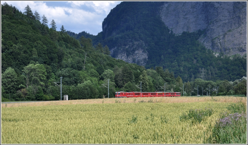 RE1248 mit Ge 4/4 II 621  Felsberg  hat die Klus verlassen und fhrt durch ein Getreidefeld bei Malans. (05.07.2012)