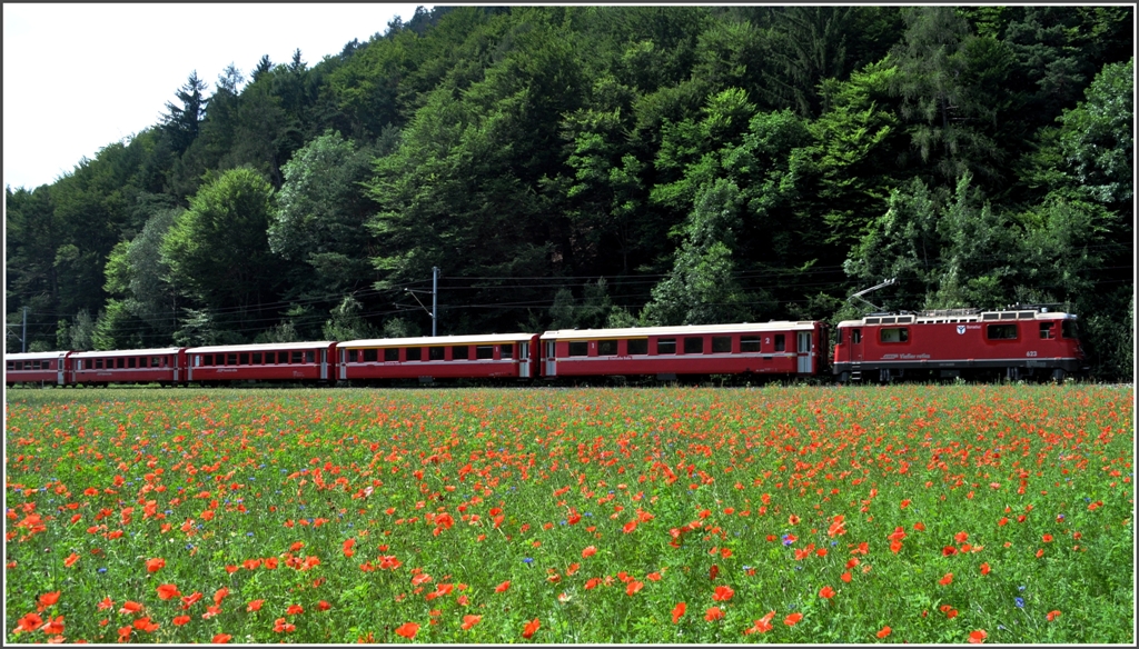 RE1253 mit Ge 4/4 II 623  Bonaduz  in einem Klatschmohnfeld bei Malans. (05.07.2012)