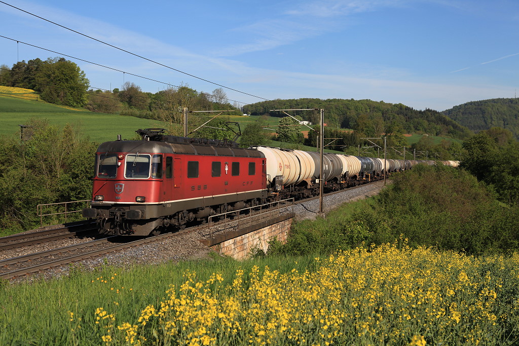 Re6/6 11645 erklimmt den Bzberg bei Hornussen, 04.05.2012.