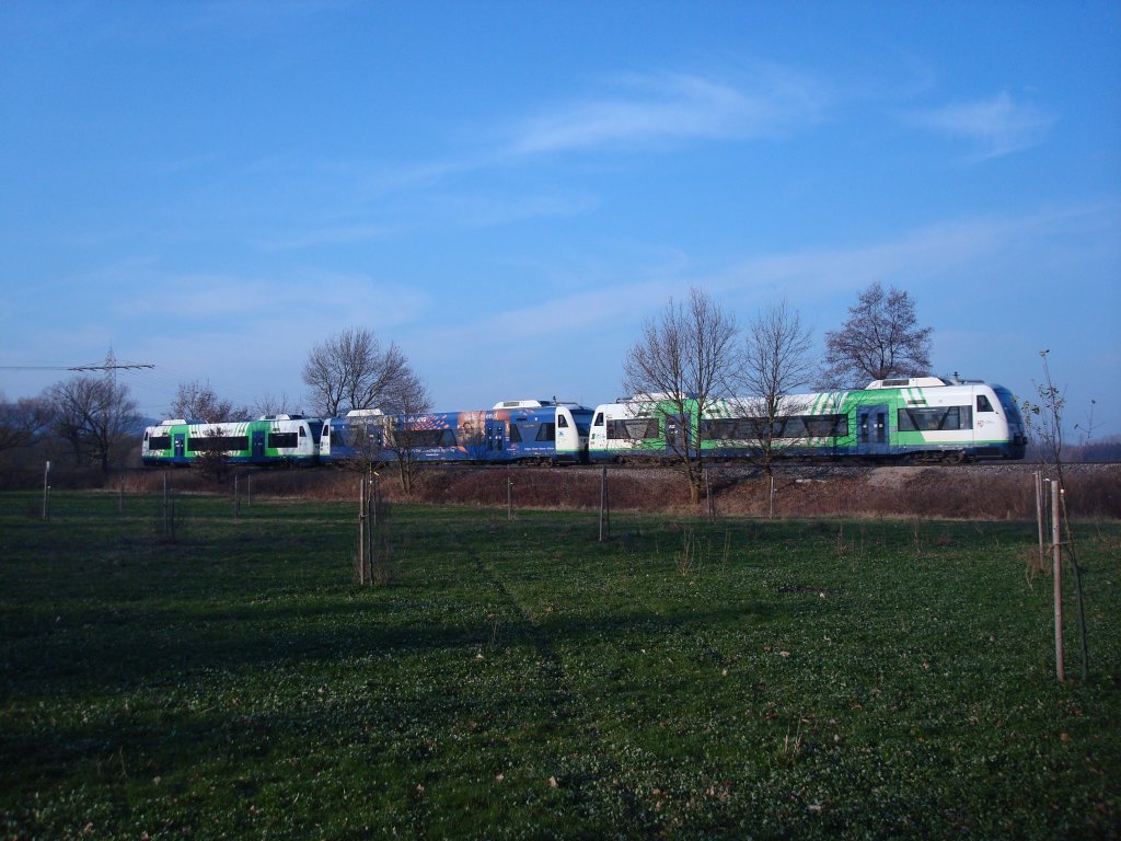Regio-Shuttle der BSB,
Dieselleichttriebwagen,2x350PS, 120Km/h,
kann in 5-fach Traktion gefahren werden,
zwischen Freiburg und Breisach im 30min Takt,
Dez.2009
