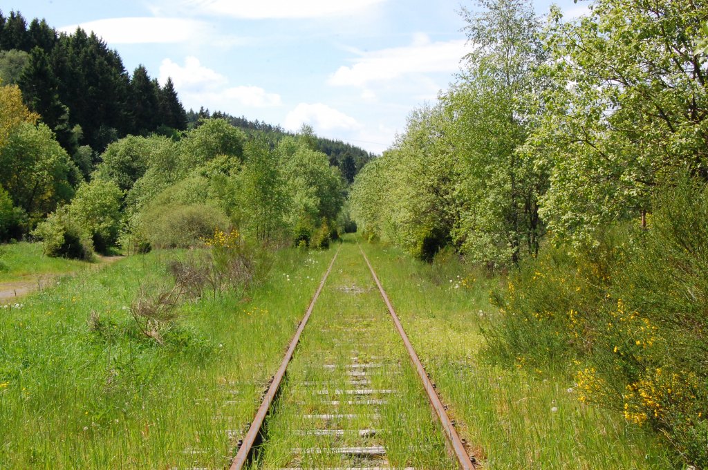 Rest der Strecke Raeren/Malmedy/Btgenbach, einst von Preussen erbaut. Dann nach dem Ende des ersten Weltkrieges an Belgien gefallen, nach dem Zweiten Weltkrieg der Bedeutungslosigkeit an Heim gefallen. Heute nur noch ein Reststck zwischen Leykaul und Sourbrodt fr Draisinenfahrten genutzt. Blick vom Bahnhof Leykaul.6.6.2010