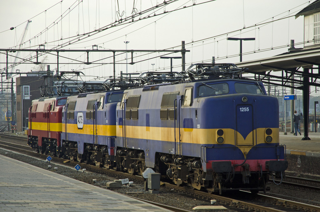 Reunion 60 Jahre E-Lok 1200, 12.11.2011 im Bhf. Amersfoort.
Die Loks stehen abfahrbereit fr die Rckfahrt zum Heimatbahnhof Amsterdam Watergraafsmeer.