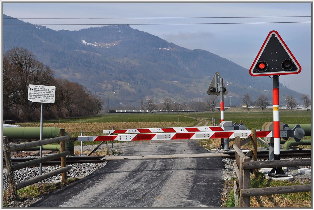 RhB Bahnbergang zwischen Zizers und Igis. Im Hintergrund ist eine Re 425 BLS mit dem Heinekenzug unterwegs nach Felsberg. (02.04.2013)