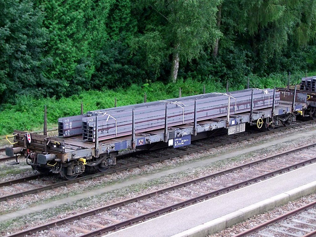 Rnss;3182(L-CFLCA)3517204-2 steht mit Stahltrgern zur Entladung bereit;100806