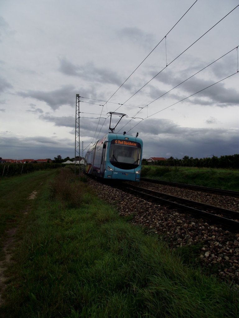 RNV Variobahn (RNV8) in Ellerstadt am 18.09.11 auf der Linie 4