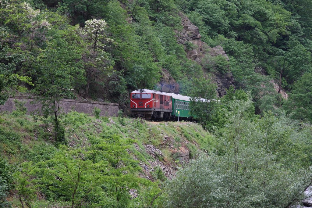 Rodophenbahn am 9.5.2013 
Schmalspur Diesellok 77002 ist talwrts mit einem Personenzug 
kurz vor Bahnhof Barbara in Richtung Septemvri unterwegs.