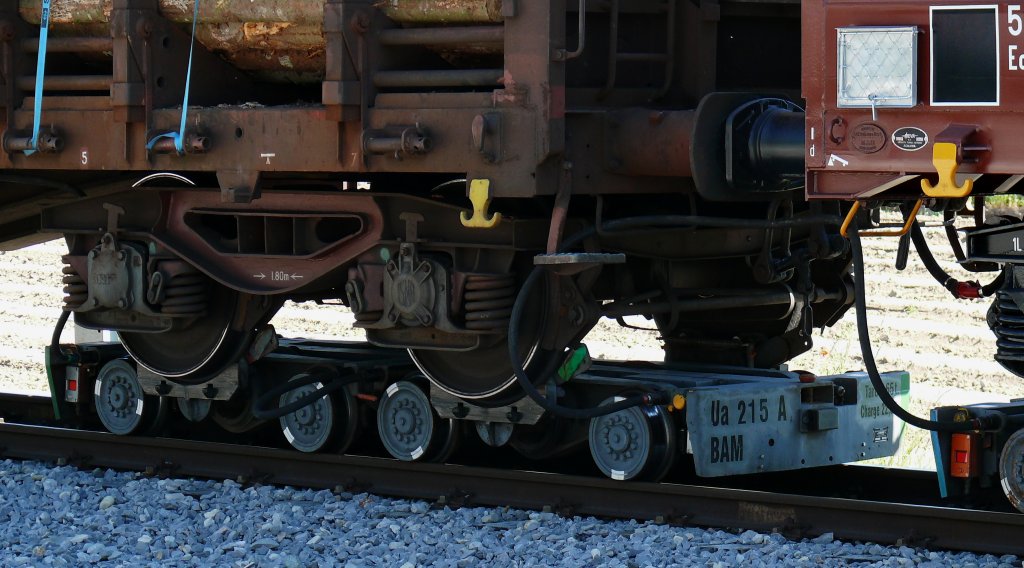 Rollbockverkehr bei der BAM.
Detailansicht des BAM Rollbocks Ua215 beladen mit dem SBB Roos-Rungenwagen 31 85 3525 044-9. 

Apples
29.05.2009