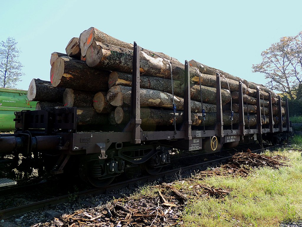 Ros 31 81 3925 274-2, steht mit Rundholz beladen in Ried zur Entladung bereit; 130509